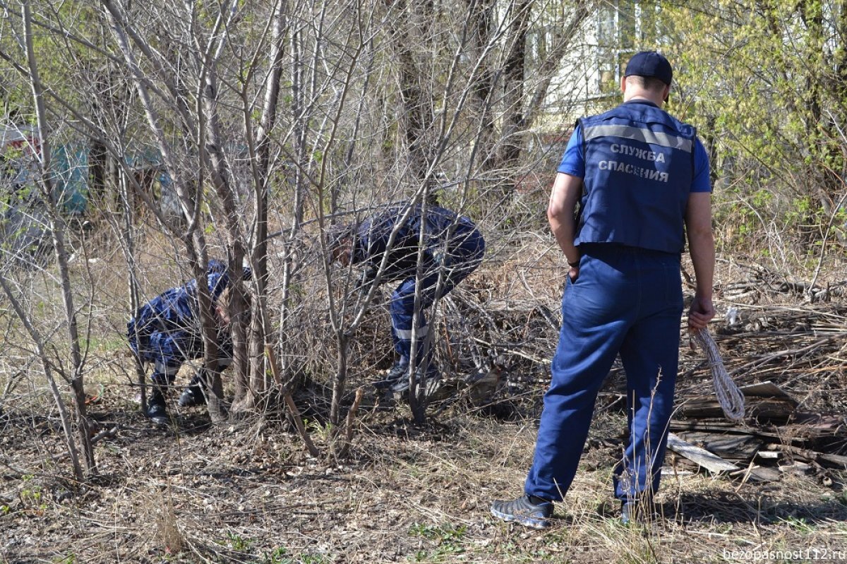    Упавшего в заброшенный колодец щенка спасли в Челябинске
