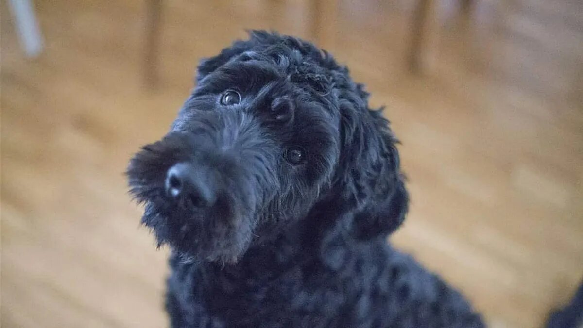 Фото: pxfuel.com