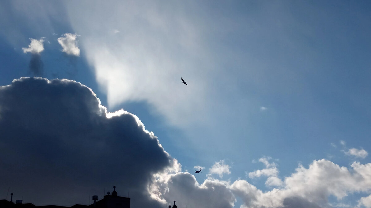 Фото: @pozovimenjatihopoimeni