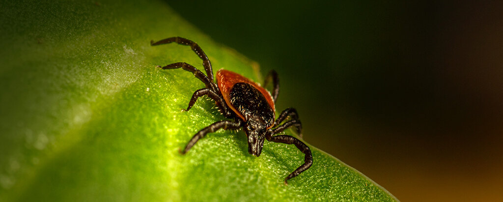 Фото: Erik Karits, unsplash.com / в иллюстративных целях