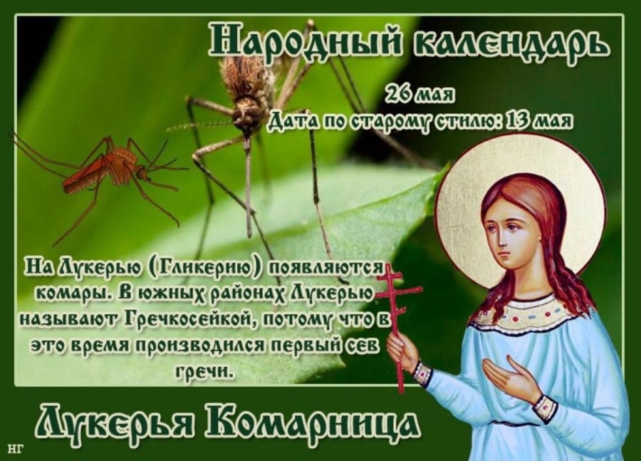 Какой сегодня праздник 26 мая. 26 Мая народный календарь. Народный праздник Комарница.