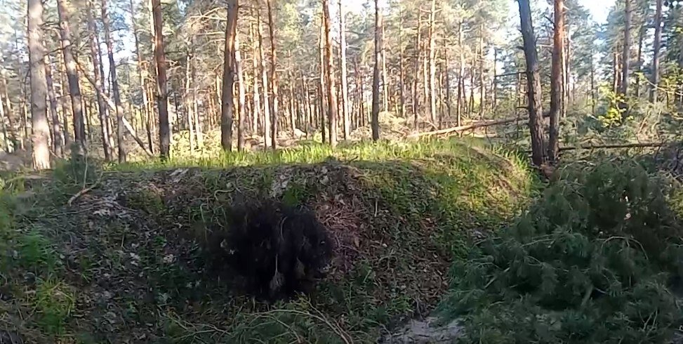 Информационный центр Правительства Тюменской области📷
