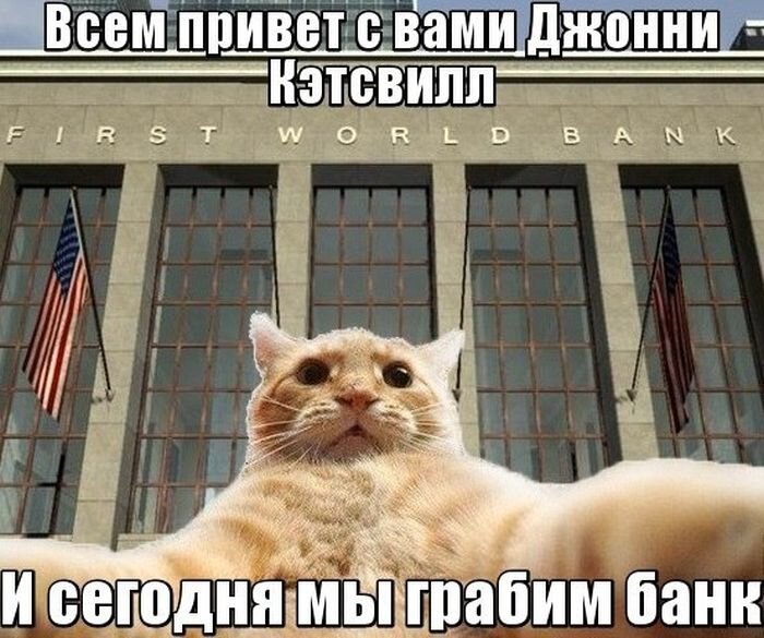 Источник Яндекс картинки. С такими продажами только банки и грабить! А потом на шашлычки