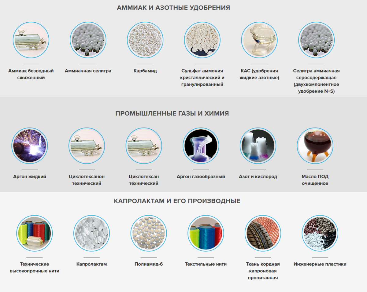 Коллаж автора. Источник картинок https://www.kuazot.ru/