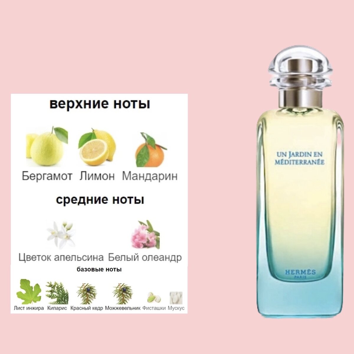 Свежие ароматы на лето