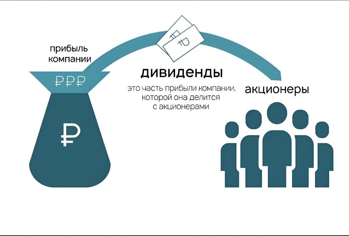 Shareholder company. Дивиденды. Акции дивиденды. Дивиденды это простыми словами. Инвестиции дивидендные акции.