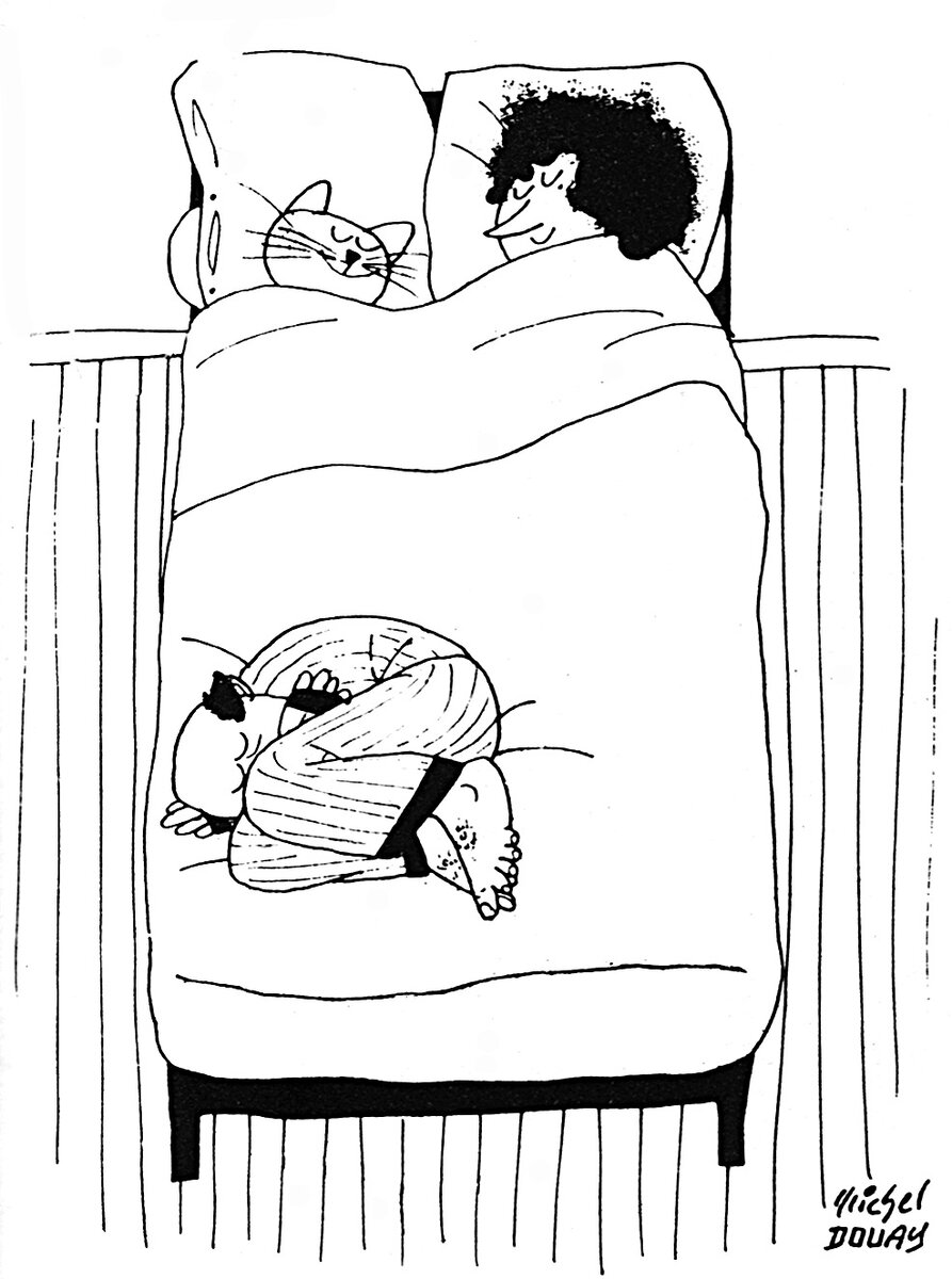 Иллюстрация: Michel Douay