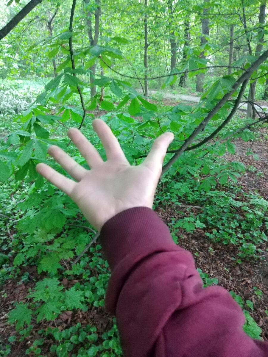 Дождь не тикает, он капает. 