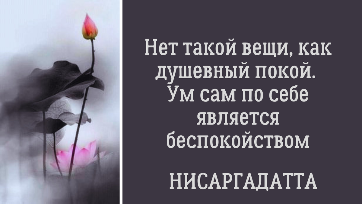 Мы не можем остановить поток мыслей, но можно перестать страдать из-за  этого. Наше отношение решает все | Анна Клишина. Путешествия без границ |  Дзен