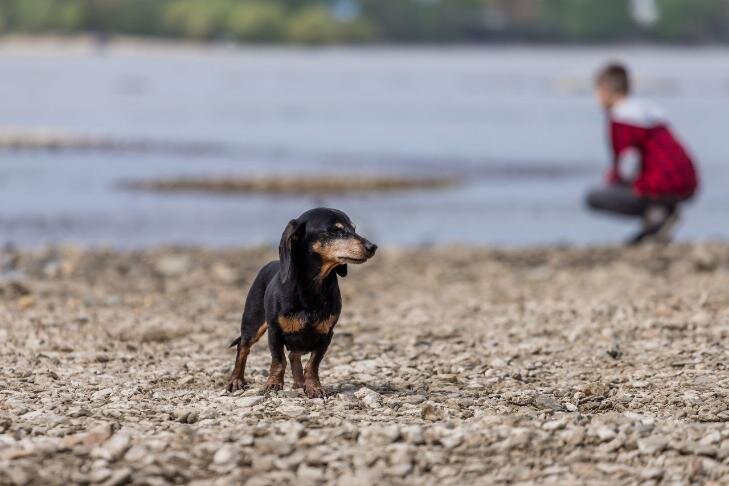    Фото Андрея Заржецкого