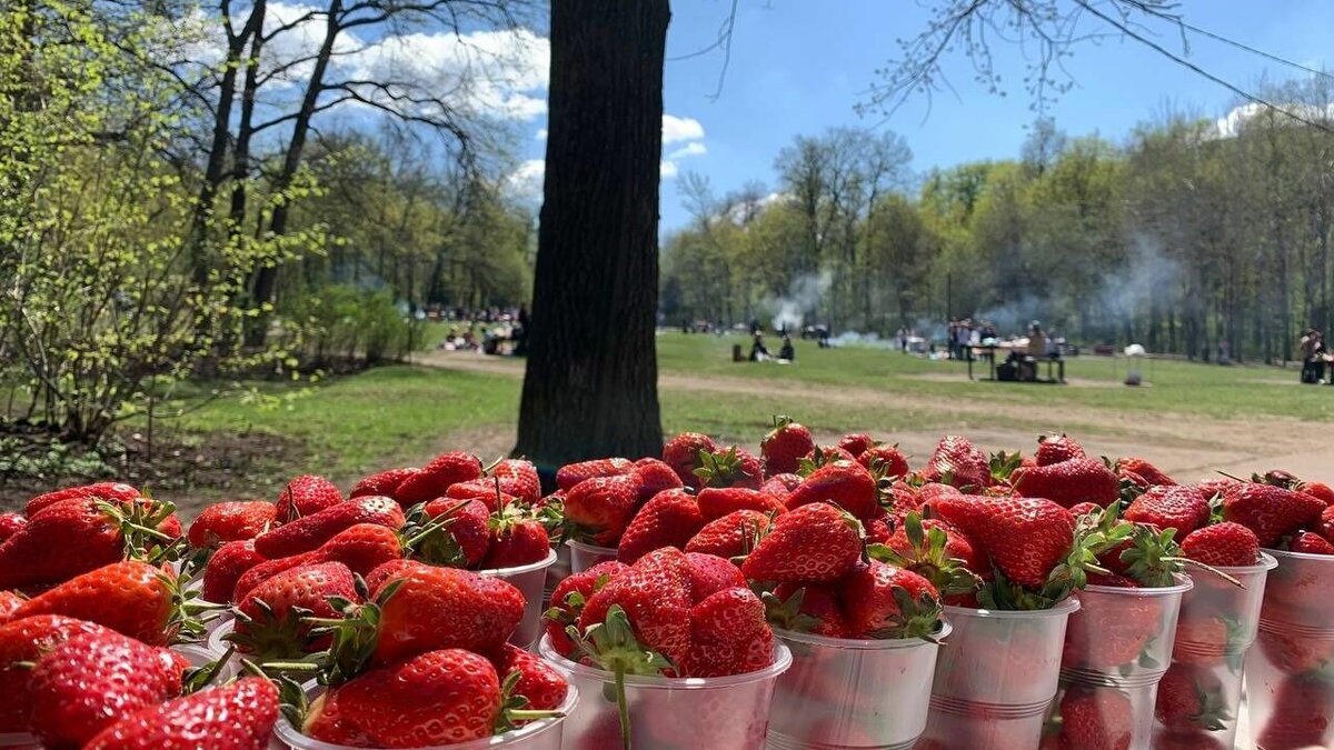 Пятничная клубничка 17.03.2023