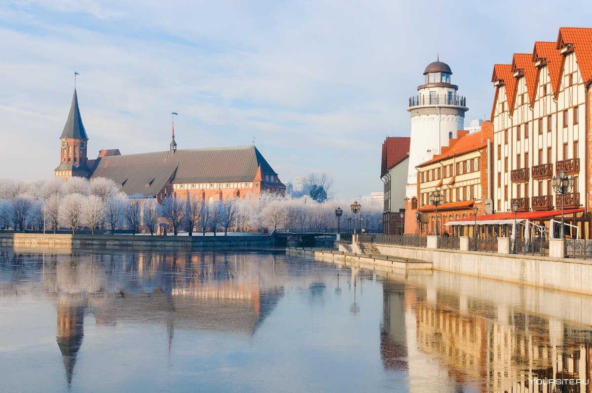 Если подумать, то решение поляков, которых по старинке называют гиеной, а как по мне, так больше подходит "гангрена Европы" - это камень в огород и других соседей. Немцев