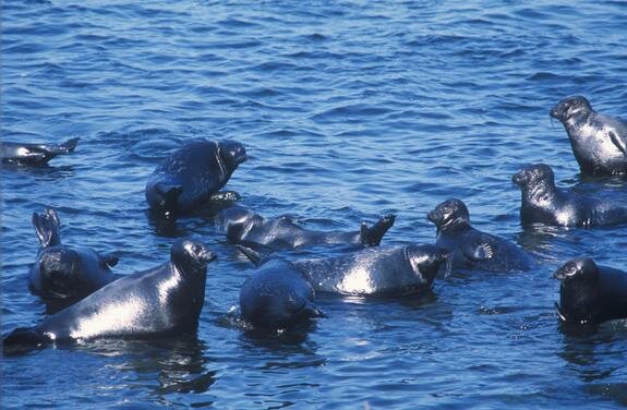    © Viktor Gritsuk, global look press