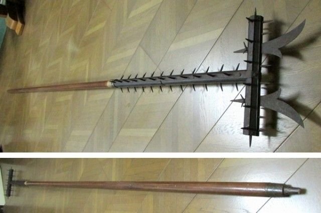 Фото из открытых источников. Цукубо