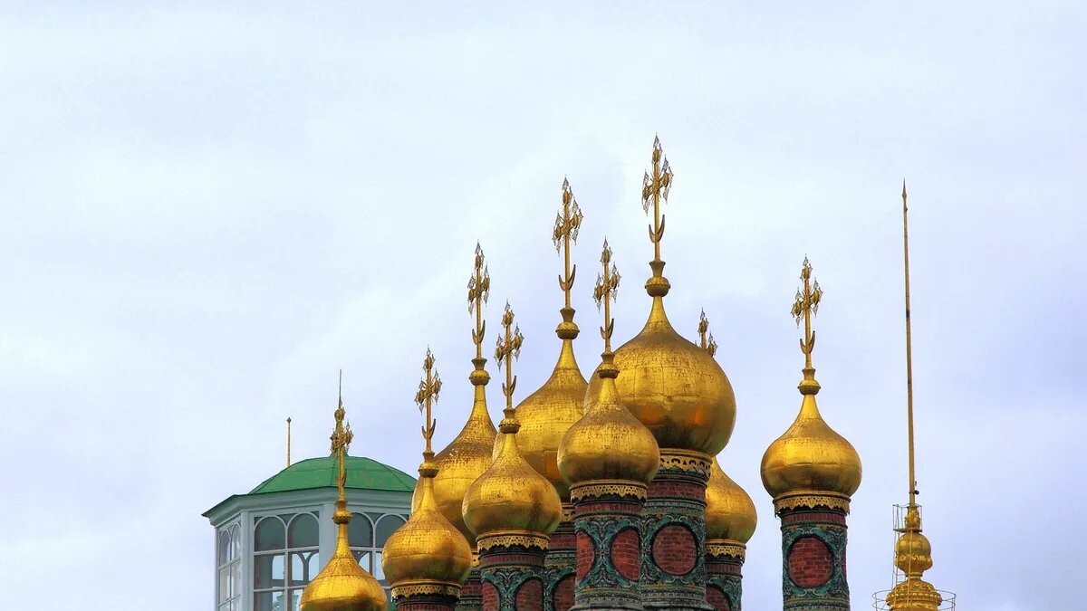 16 мая женщинам принято заниматься работой на огороде. Фото: Pxfuel.com