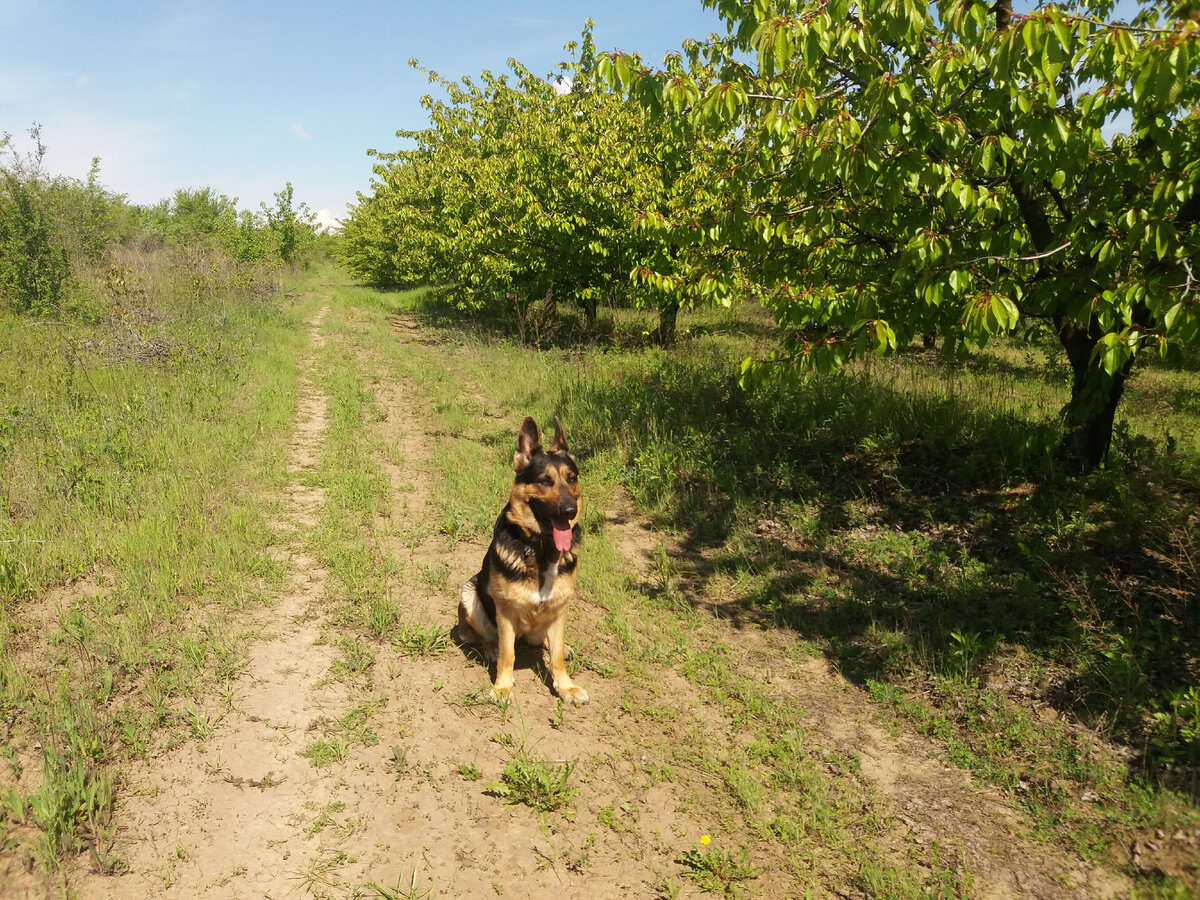Фото автора