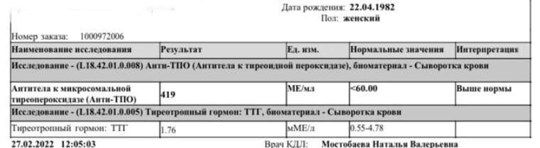 До начала нашей работы