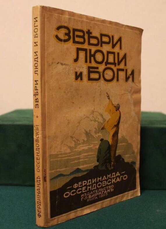 Фото из открытых источников.