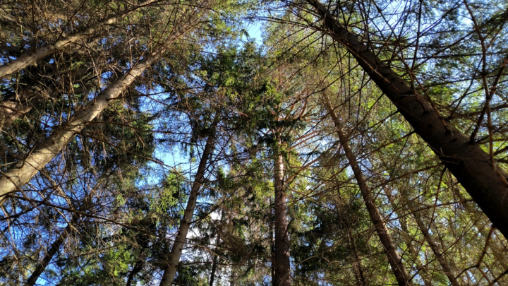 ФОТО: MAKSIM KONSTANTINOV/GLOBALLOOKPRESS