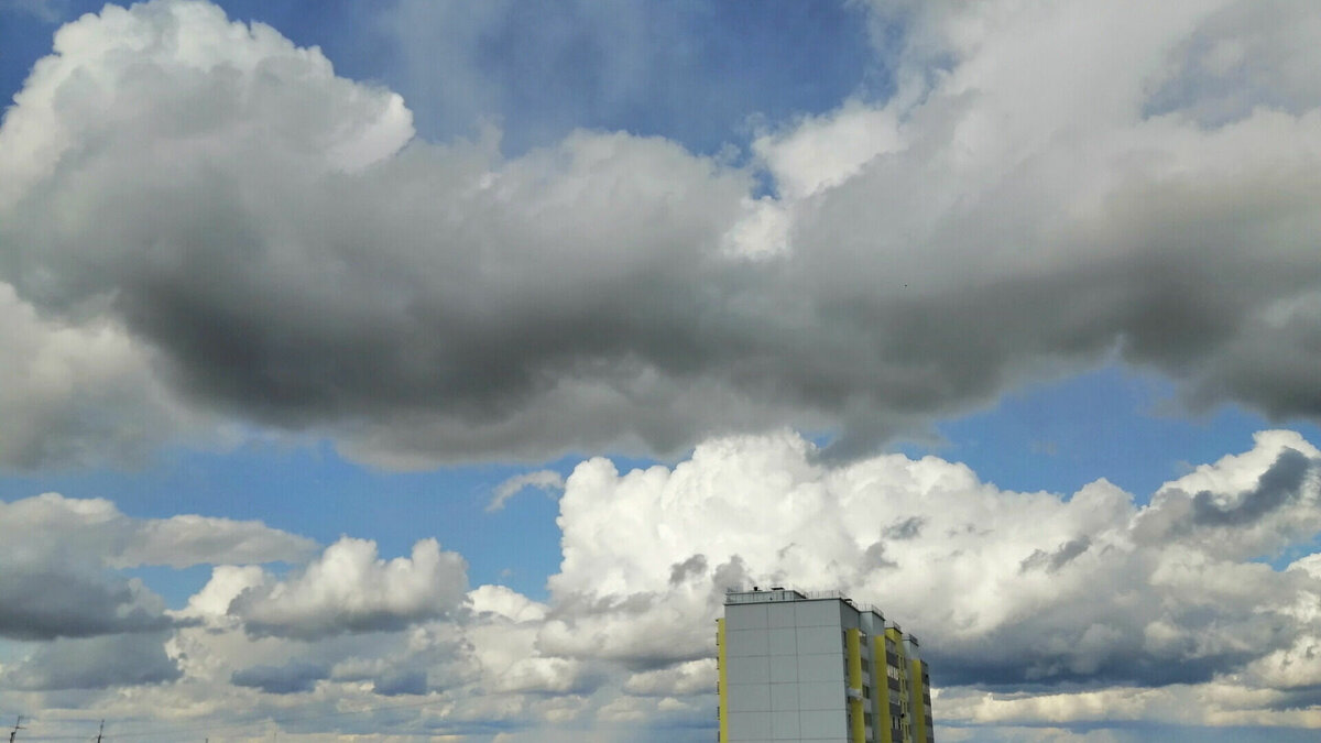    В Волгоградской области данные грозопеленгационной сети впервые используют в противопожарных целях. Специалисты собираются по разрядам молний отслеживать пожароопасные ситуации в лесных массивах, сообщили в обладминистрации.
