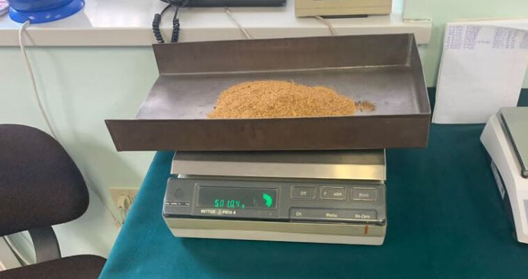 Фото: дфоут.мвд.рф 