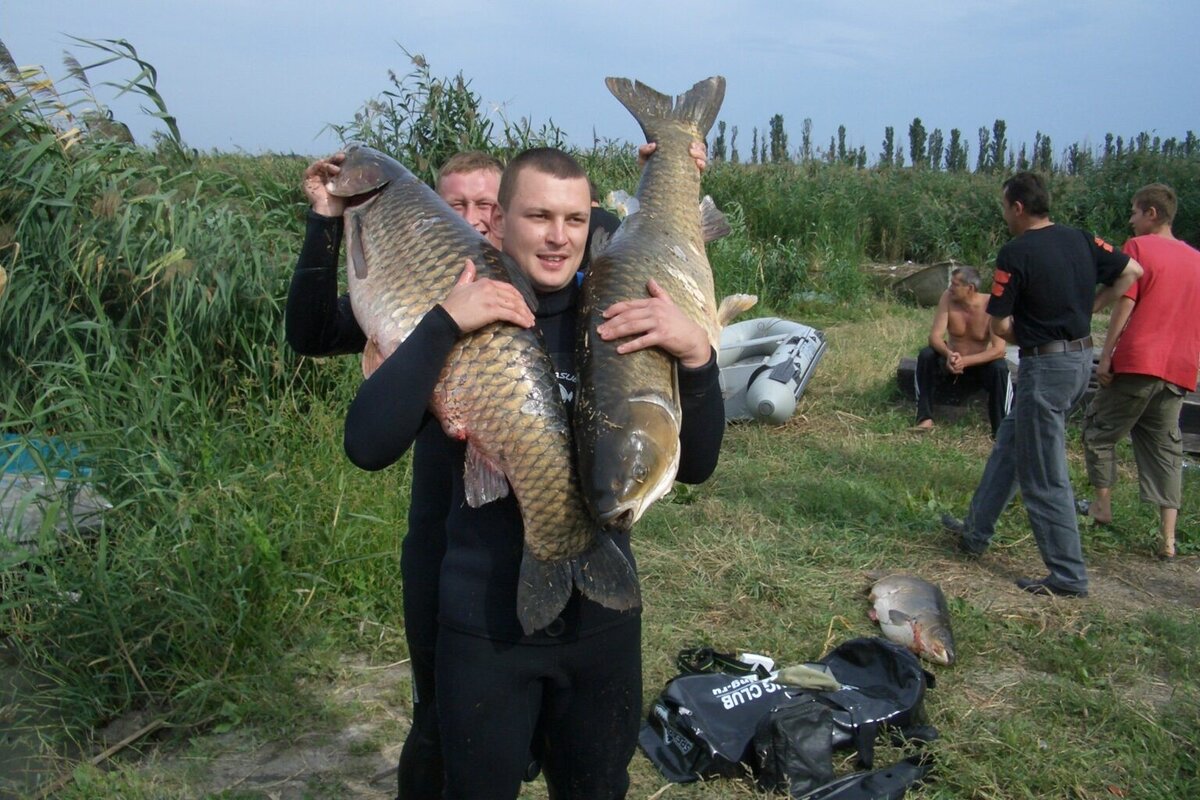 Кубань рыбалка на реке Кубань