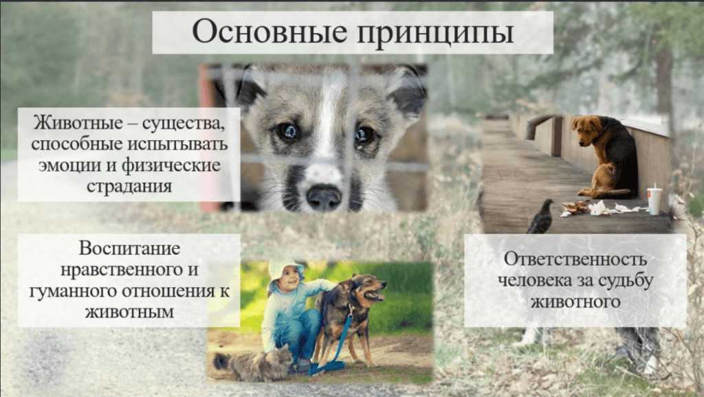 Найдено на просторах Интернета
