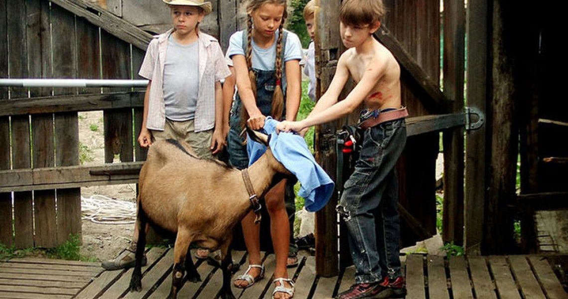 Обычные дачные дела