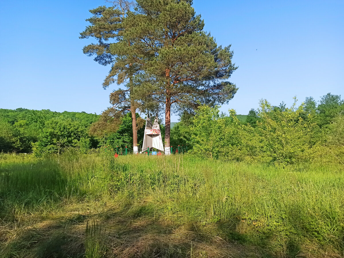 две сосны перед поворотом к селу Хребтовое
