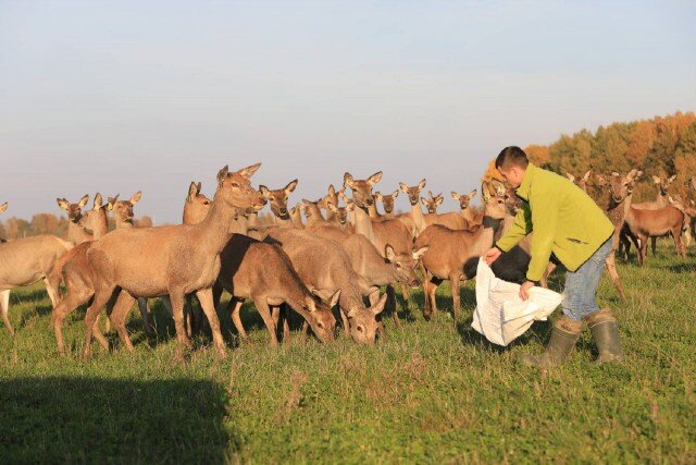   Фото: hutor.mushkino.ru