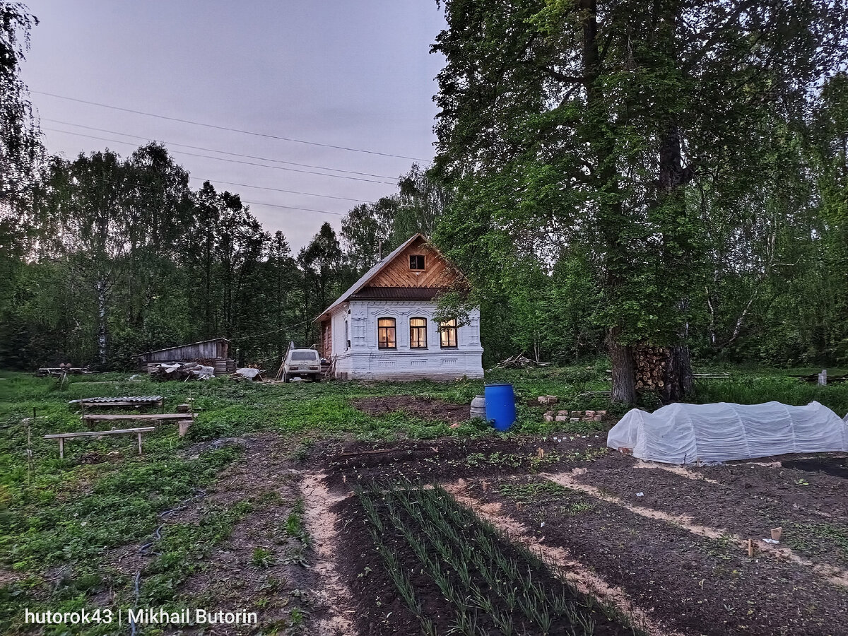 Вечер в огороде. 