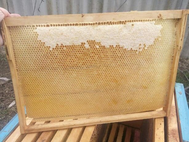 Рамки с вощиной. Вощина крепится, на, 4 тоненьких проволочки.  Но это уже рамочка б/у.