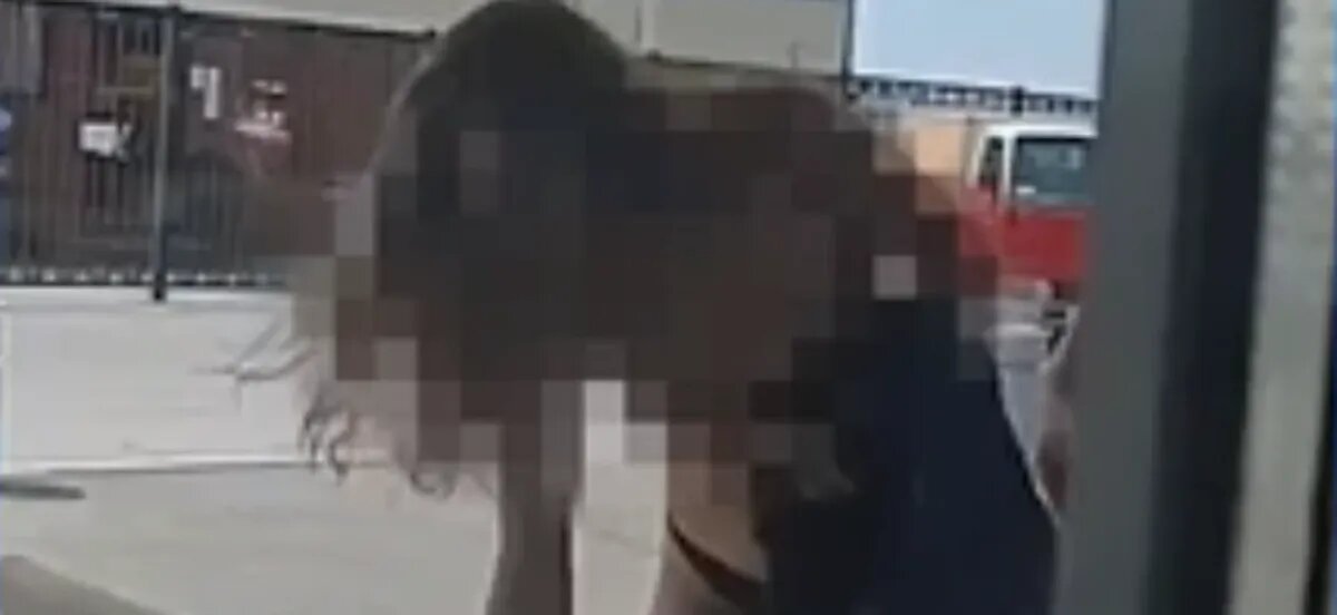 Фото: АСТ-54 / Telegram