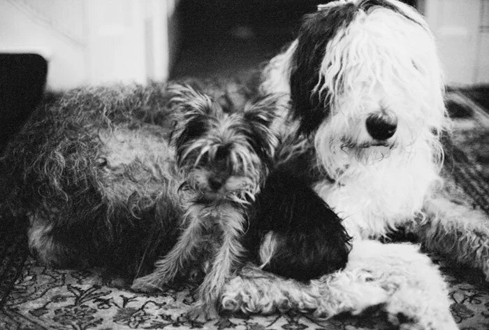 Эдди и Марта