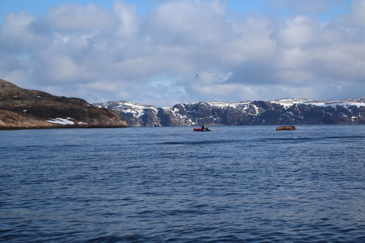Берег Баренцева моря