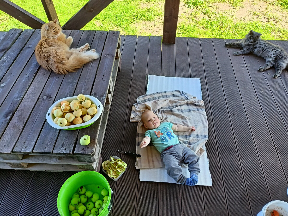 Никуда не укатится