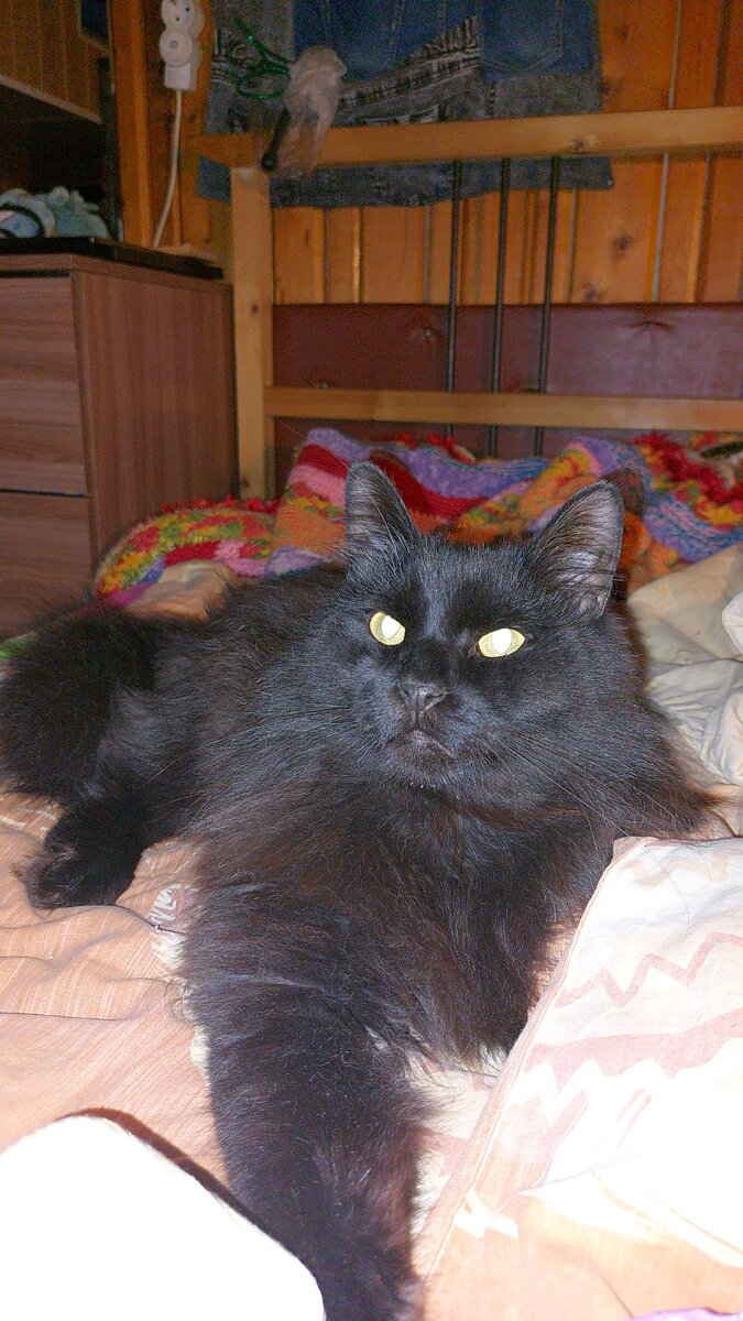 Макс в доме главный. Ему решать.