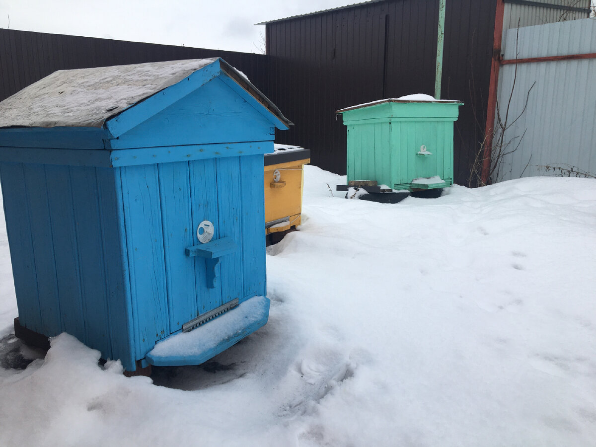 Наша мини пасека. А изначально планировали просто украсить участок яркими ульями без пчёл. 