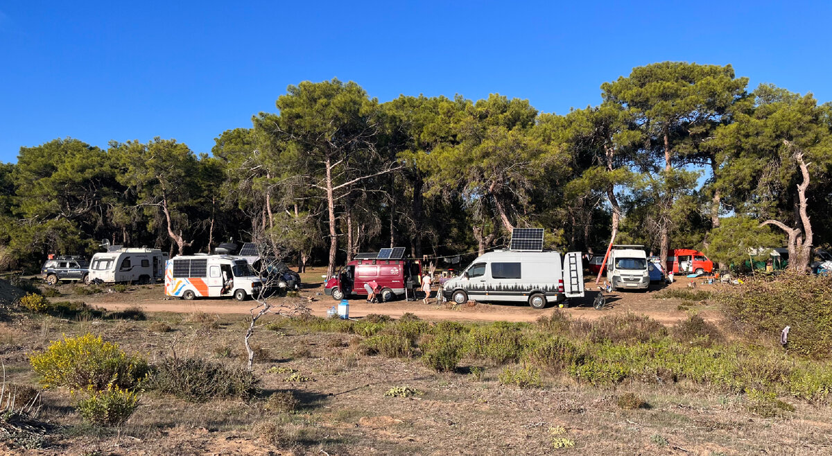 Вэнлайф комьюнити