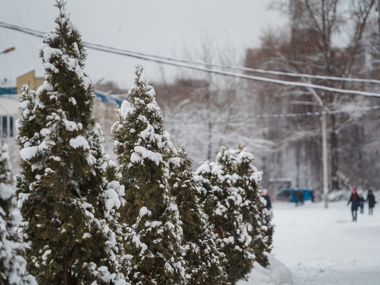   Кристина Белякова