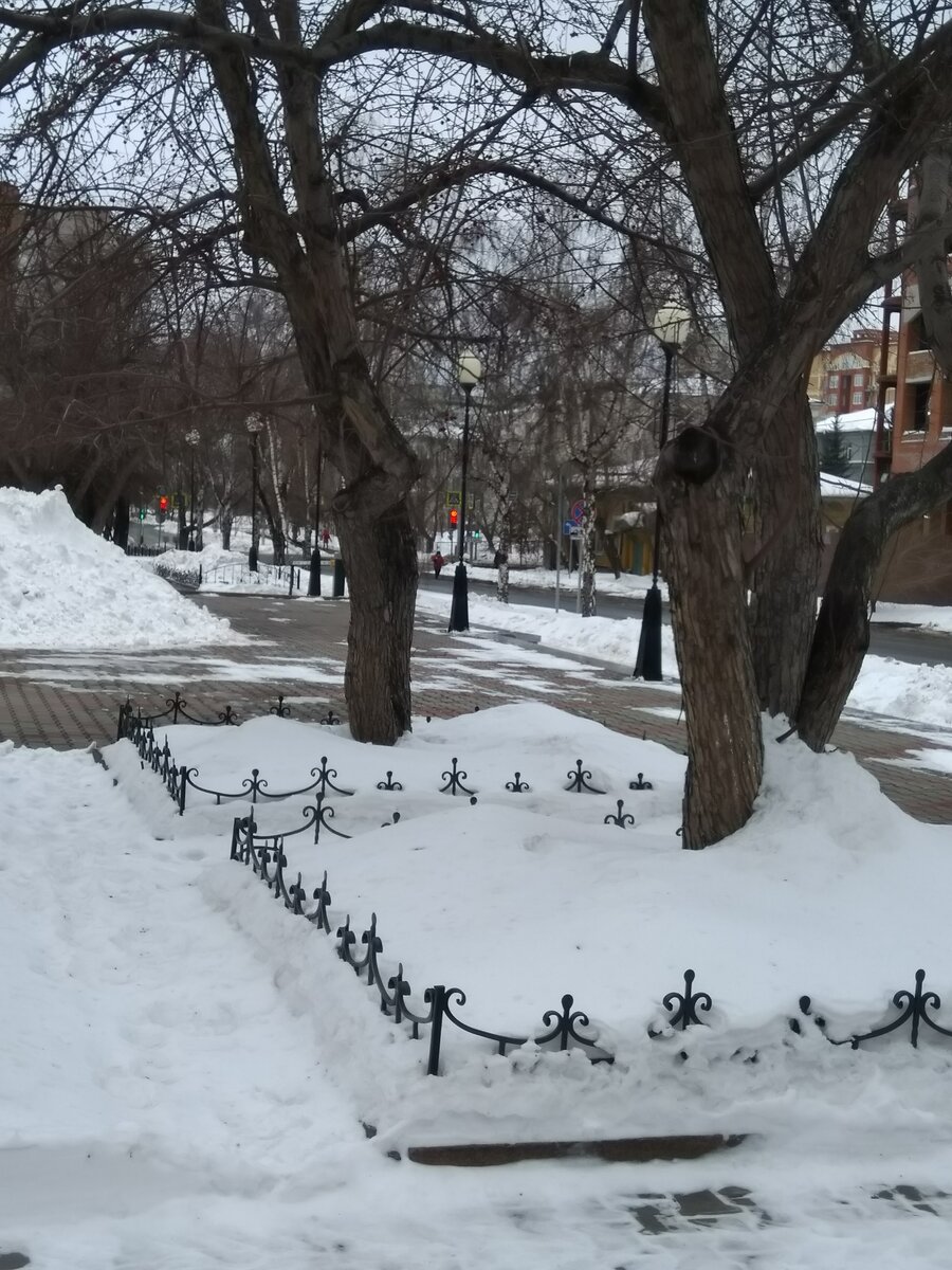 Фото автора. В городе