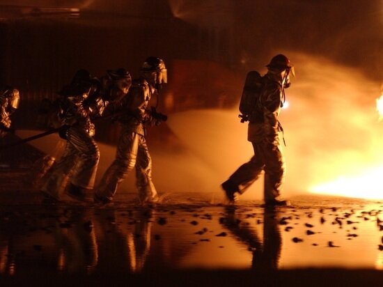     ФОТО: pxhere.com