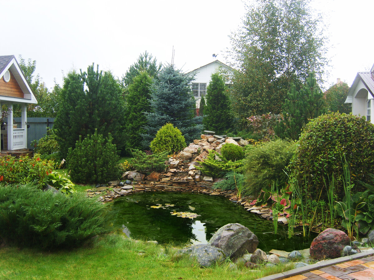 Альпийская горка с прудом, 2012 г.