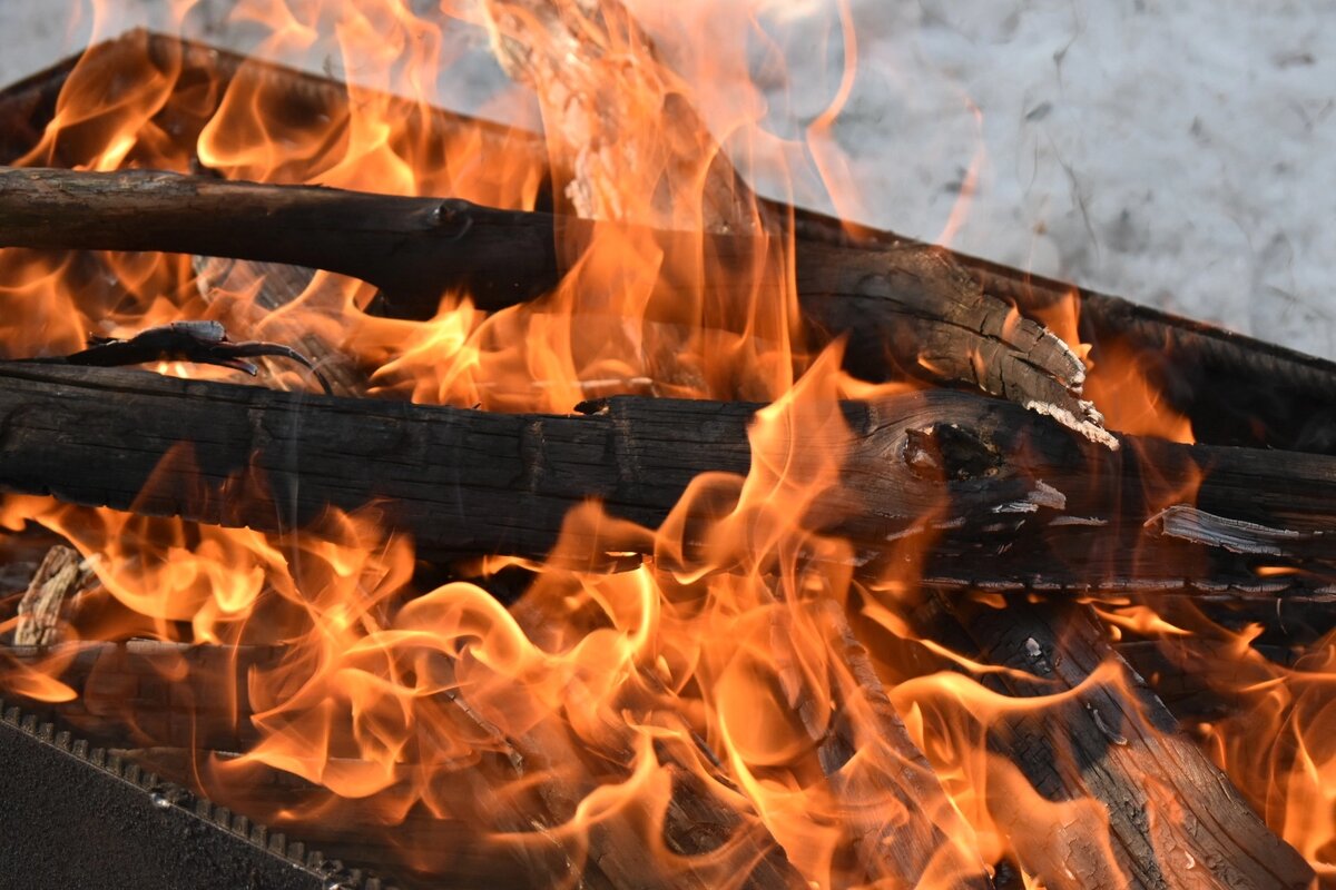 Воронежская нагорная дубрава в марте