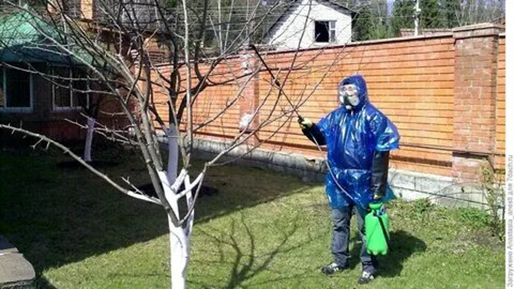 Взято из общего доступа