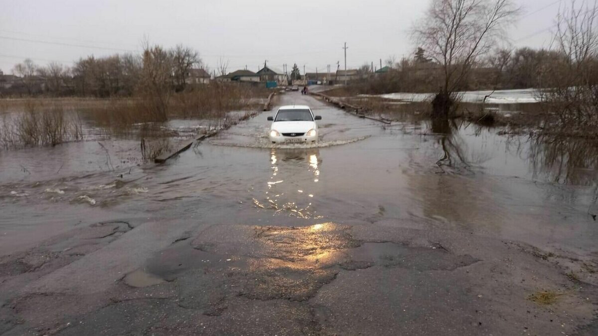 В Елани для отвода талых вод 20 человек ведут земляные работы |  НовостиВолгограда.ру | Дзен