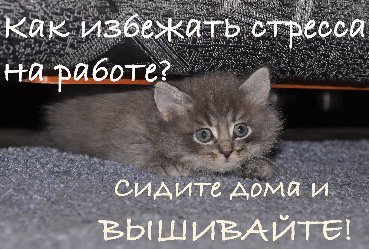 Как избежать стресса на работе?  сидите дома и вышивайте!