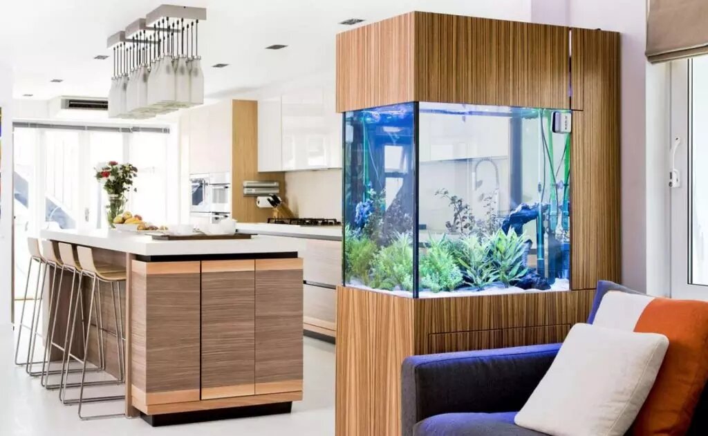 https://modernplace.ru/akvarium-dlya-kvartiry/
