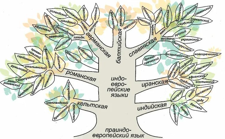 Родовая карта что это - 87 фото