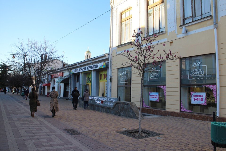     Деревце растет в центре Симферополя. Ольга АВЕРЬЯНОВА